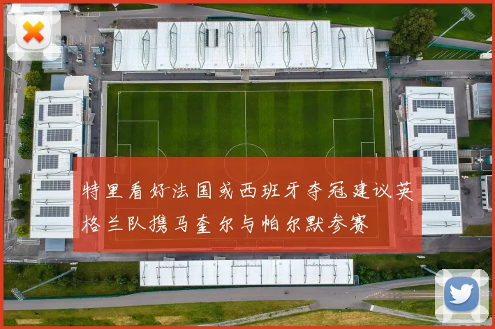 特里看好法国或西班牙夺冠建议英格兰队携马奎尔与帕尔默参赛