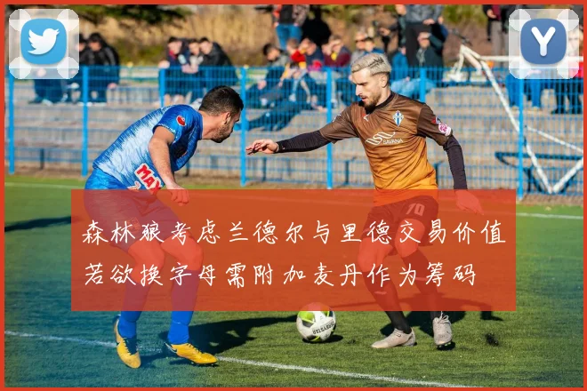 森林狼考虑兰德尔与里德交易价值若欲换字母需附加麦丹作为筹码